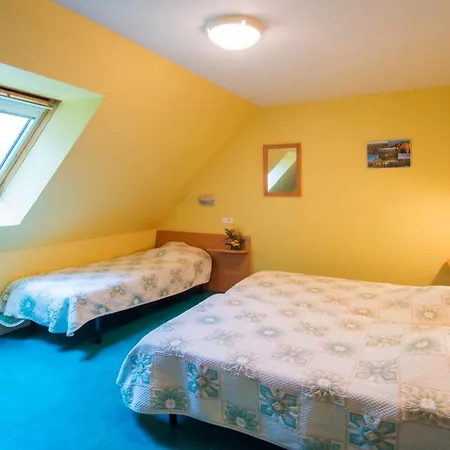 Grande Maison Conviviale A Avec Jardin Et Cheminee *