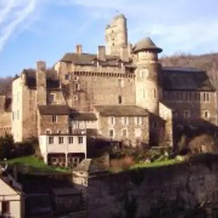 Grande Maison Conviviale A Avec Jardin Et Cheminee