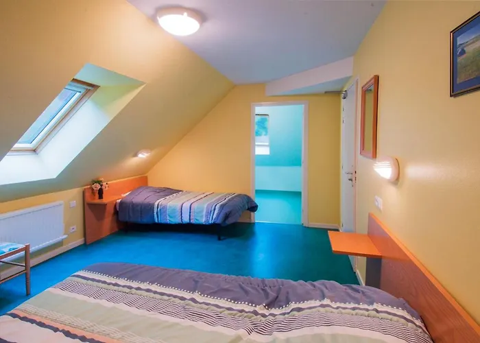 Grande Maison Conviviale A Avec Jardin Et Cheminee *